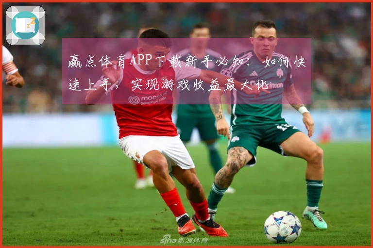 赢点体育APP下载新手必知：如何快速上手，实现游戏收益最大化