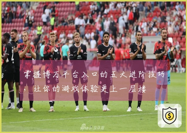 掌握博万平台入口的五大进阶技巧，让你的游戏体验更上一层楼