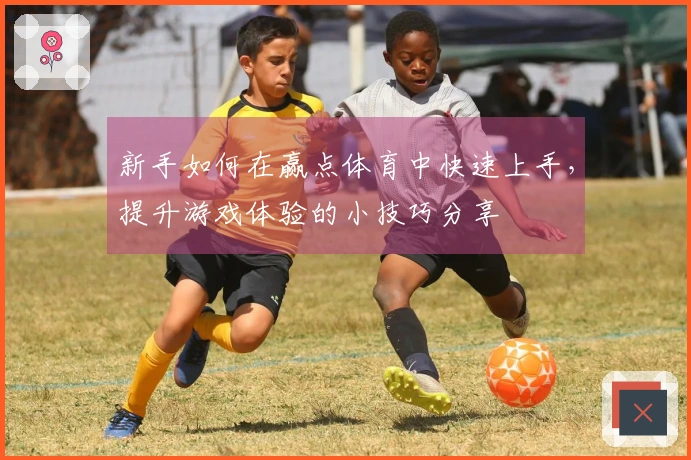 新手如何在赢点体育中快速上手，提升游戏体验的小技巧分享